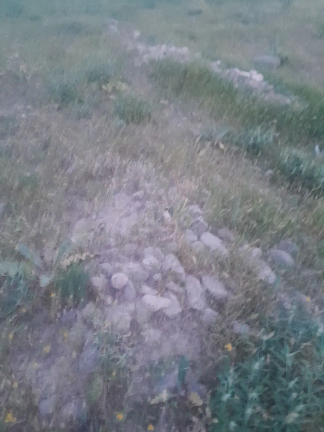 زمین آخر خیابان شفا