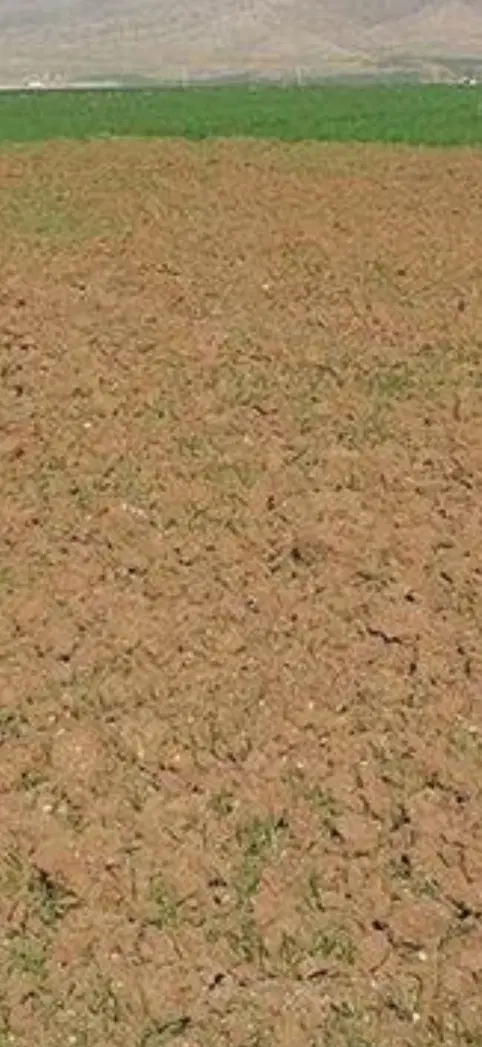 فروش زمین و معاوضه