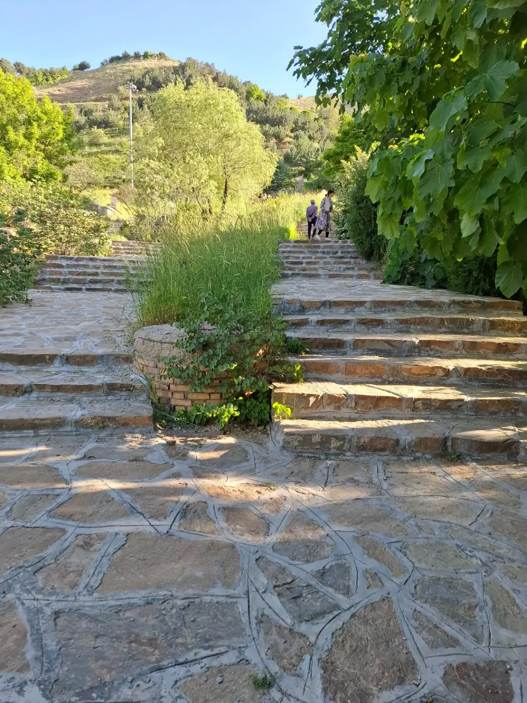 املاک ویلایی