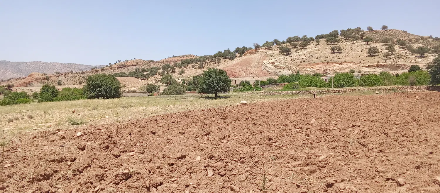 فروش فوری فوری زمین کشاورزی در روستا قلعه نصیر