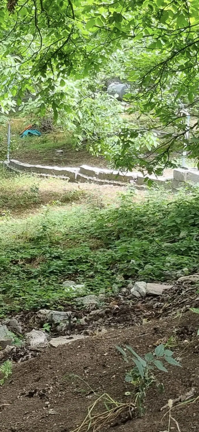 ۵۱۲مترزمین مسکونی ‌‌ ‌دور دیوار  روستای مخشهر