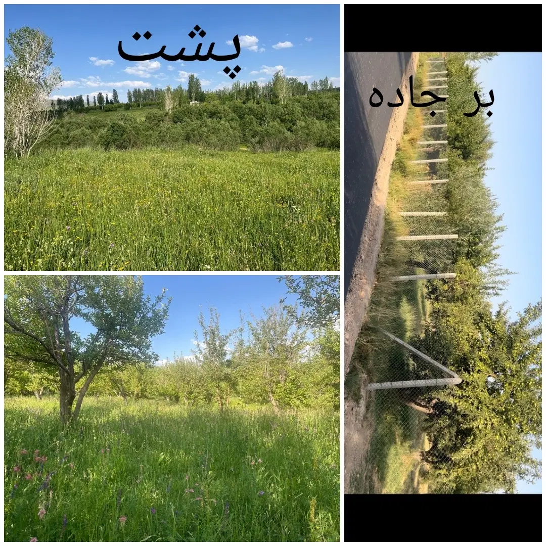 باغ چراغتپه