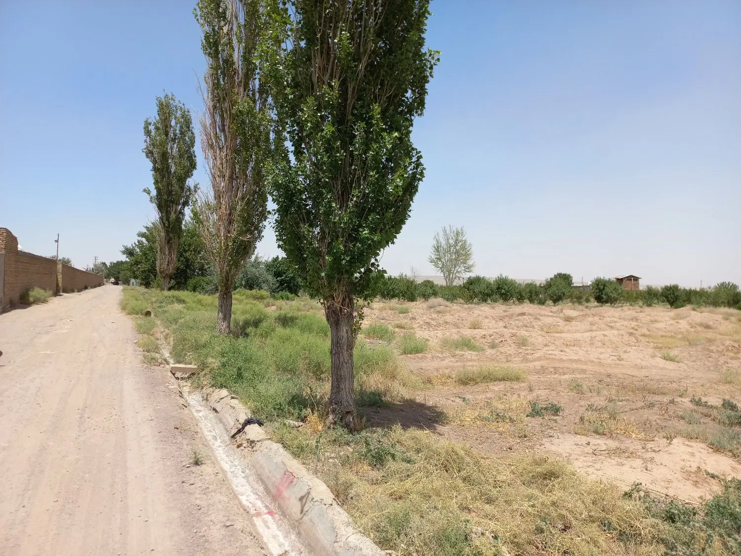 زمین باغی