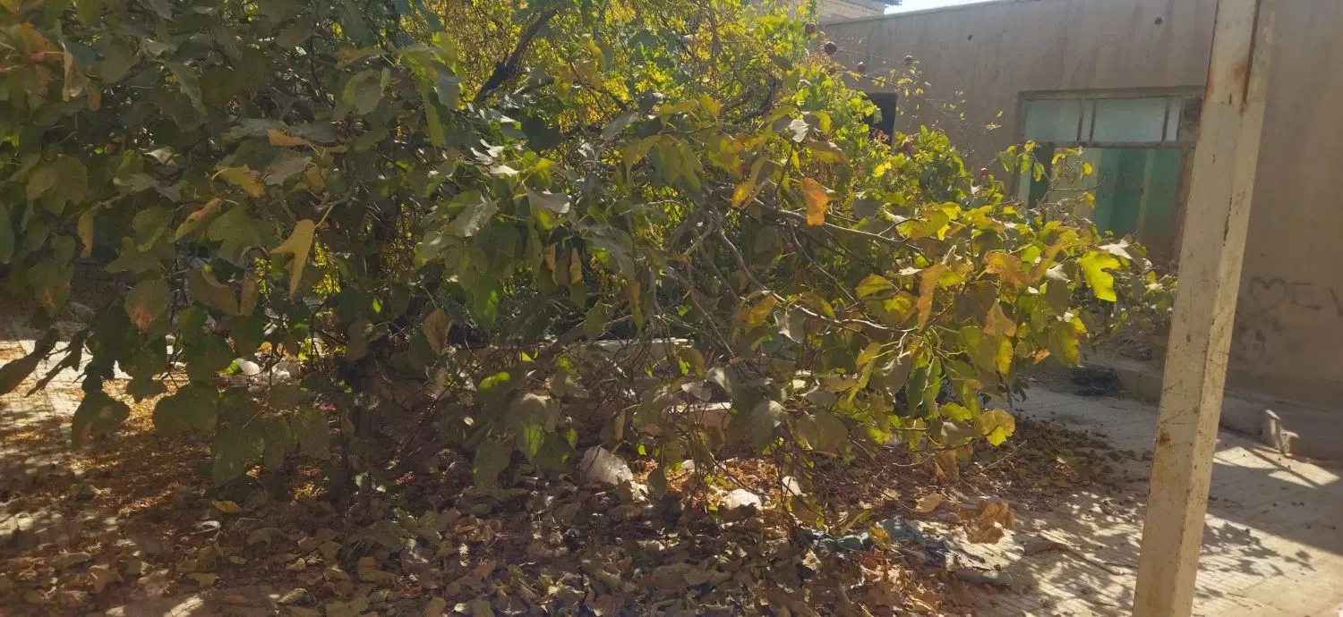 فروش کلنگی 274 با پروانه مسکونی تجاری دونبش
