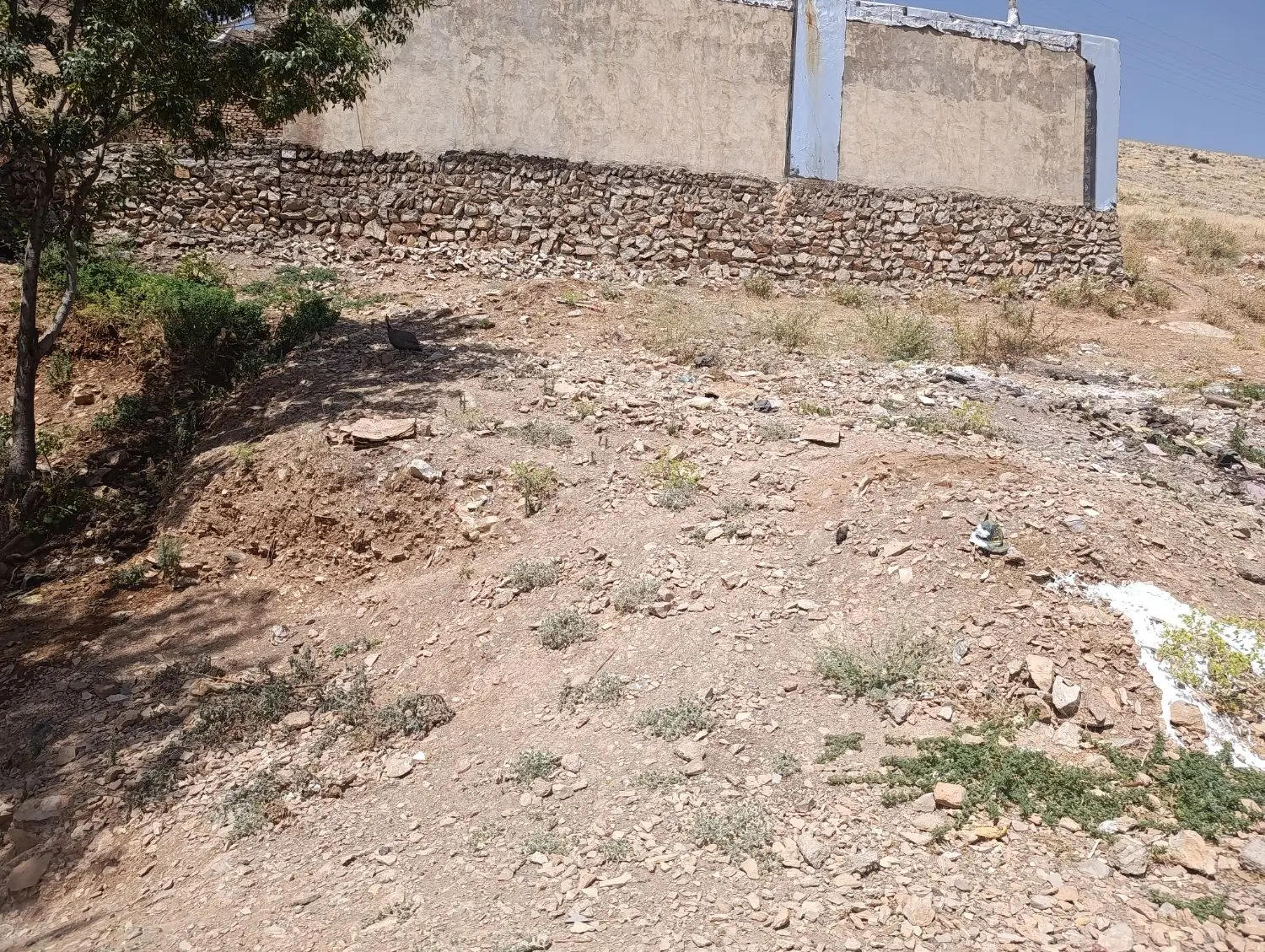 زمین فلک الدین