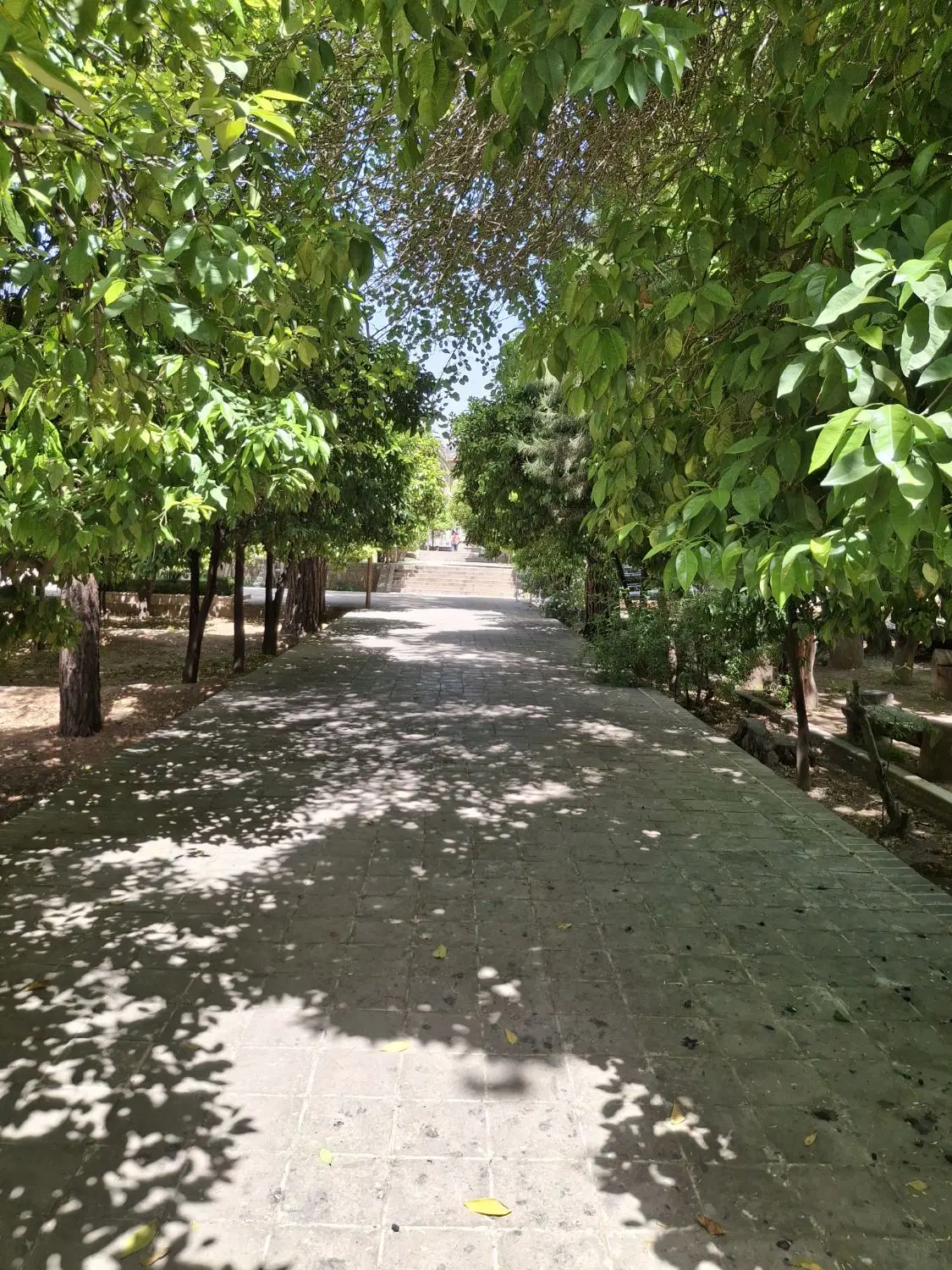 ۳۰۰ متر دره شیر سانیچ