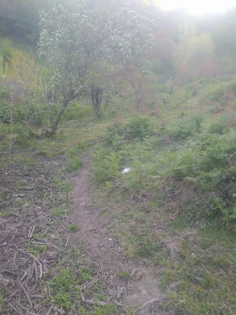 زمین فروشی