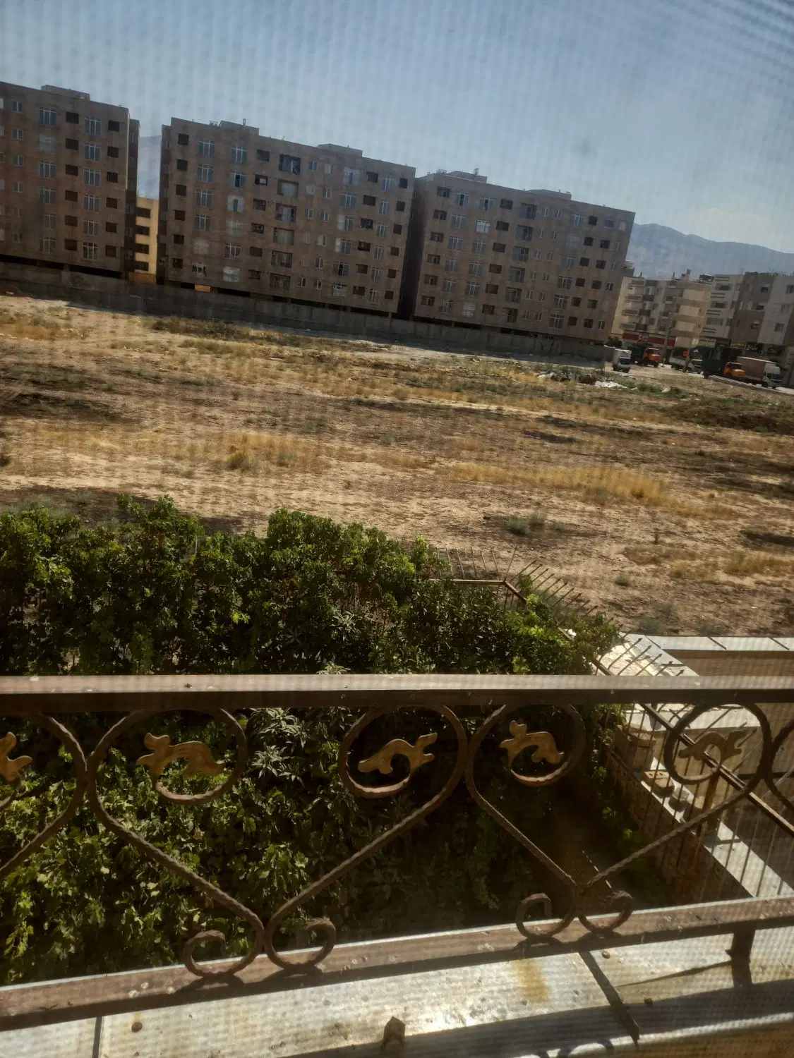 زمین هکتاری تجاری