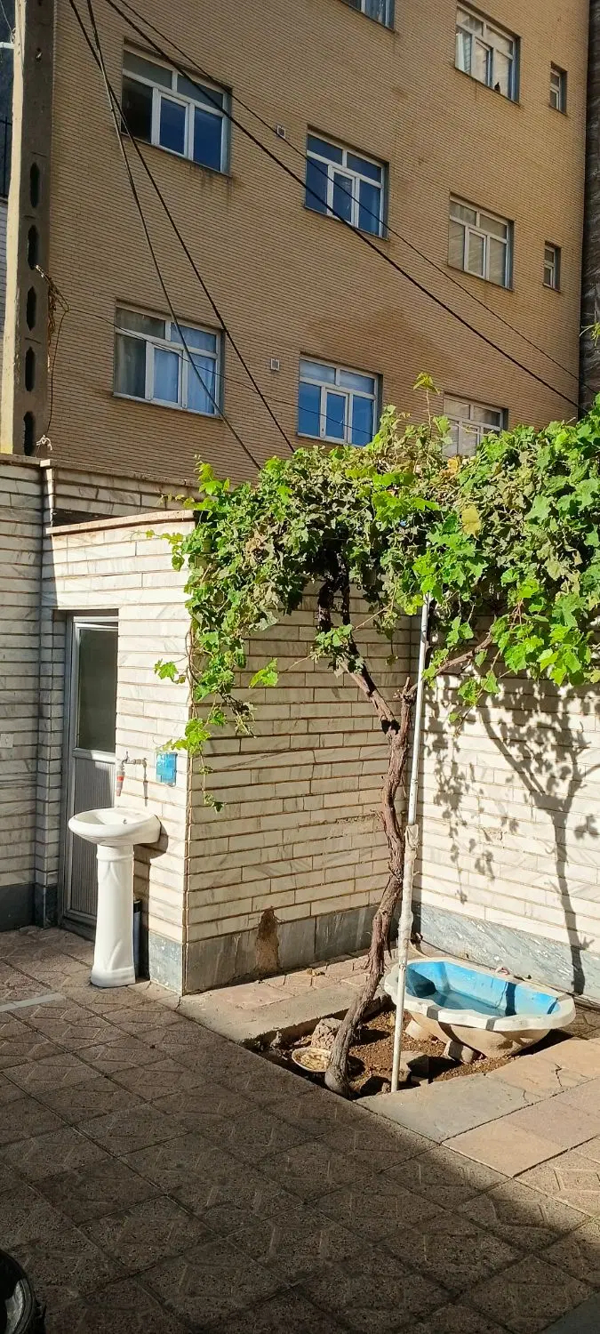 حیاط مسکونی