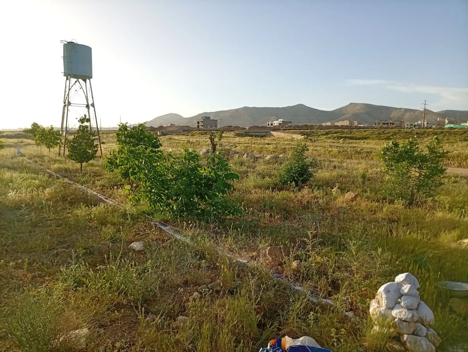 زمین باغ شهری .صدرا