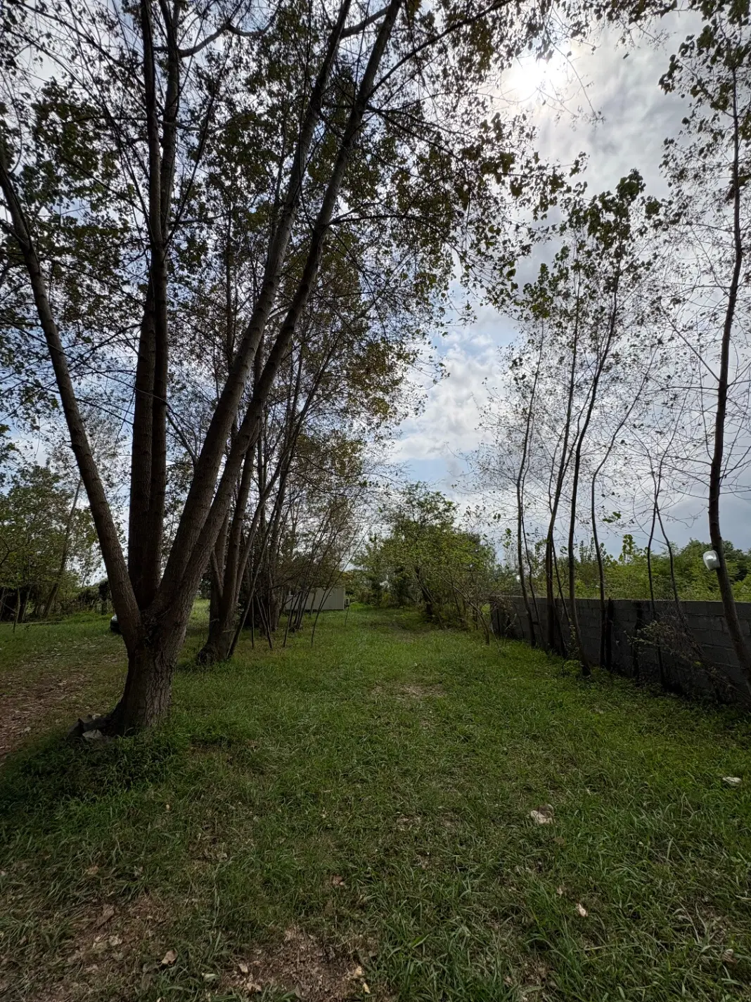 زمین باغی و مسکونی