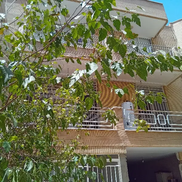 خانه در کوی امید