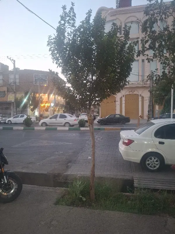 اجاره مغازه پاساژ سعدی