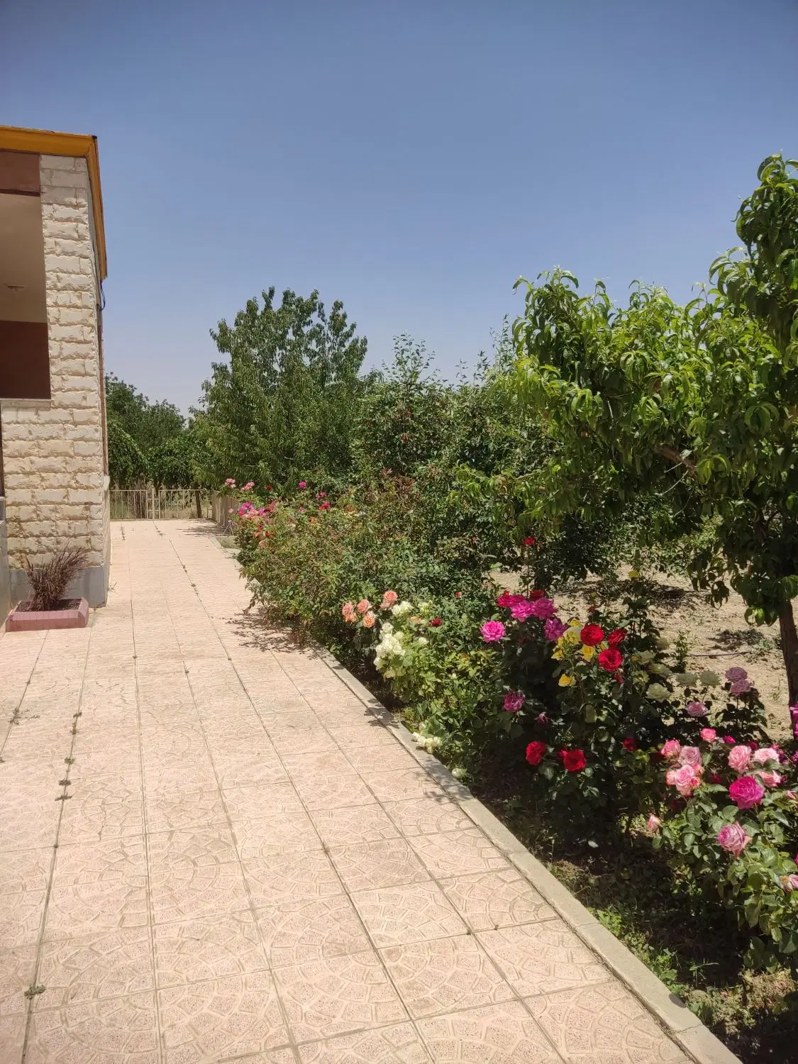 فروش ۵۰۰ متر از باغ ۱۰۰۰ متری واقع در سنگستان