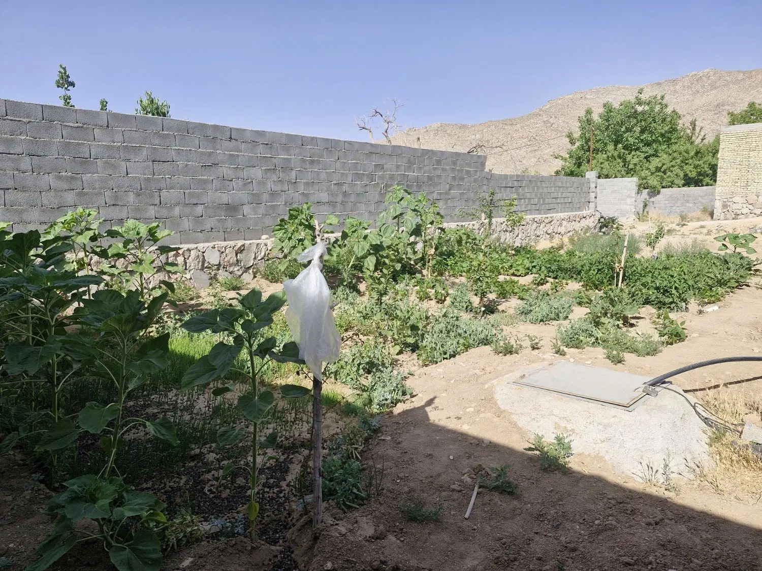 سخوید نیر سانیج خانه باغ زمین نیمهساز چاه آب و برق