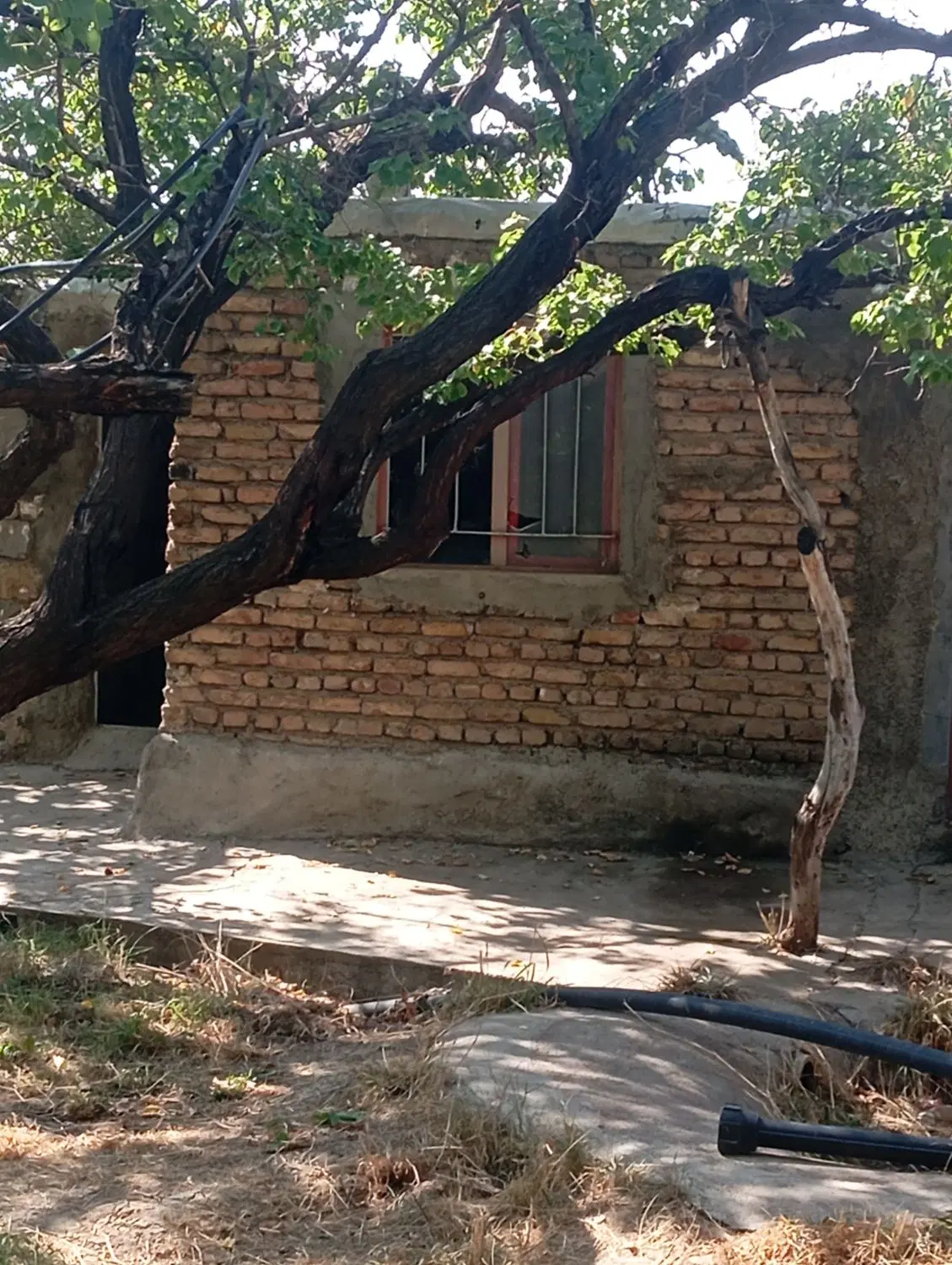 باغ بر خیابان با تمام امکان