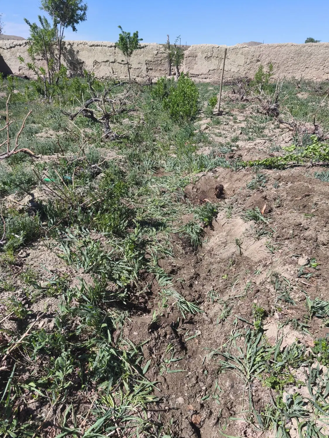 زمین با سند سبز در خوگان با دسترسی مناسب