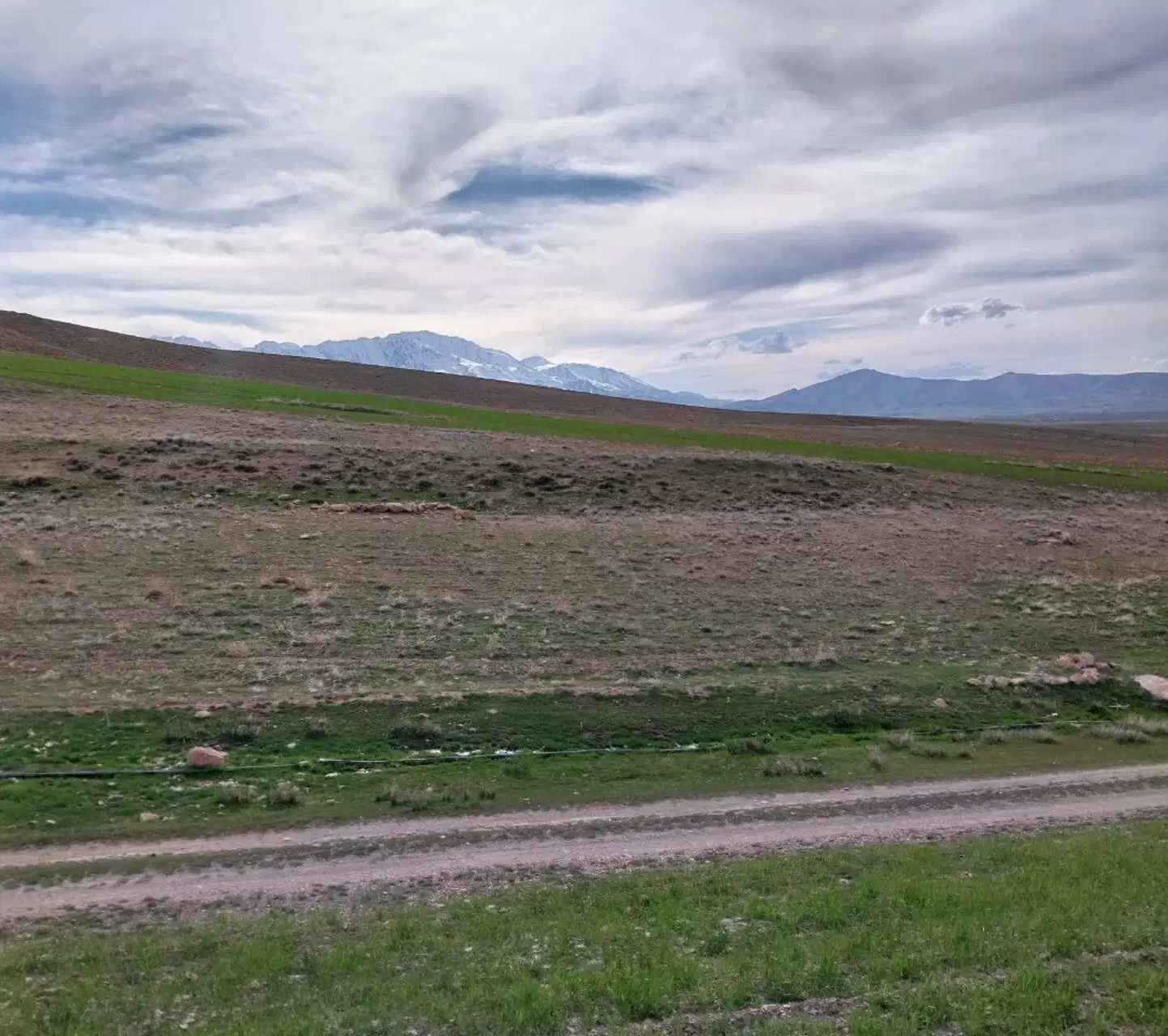 زمین مسکونی روستای شهرک سور