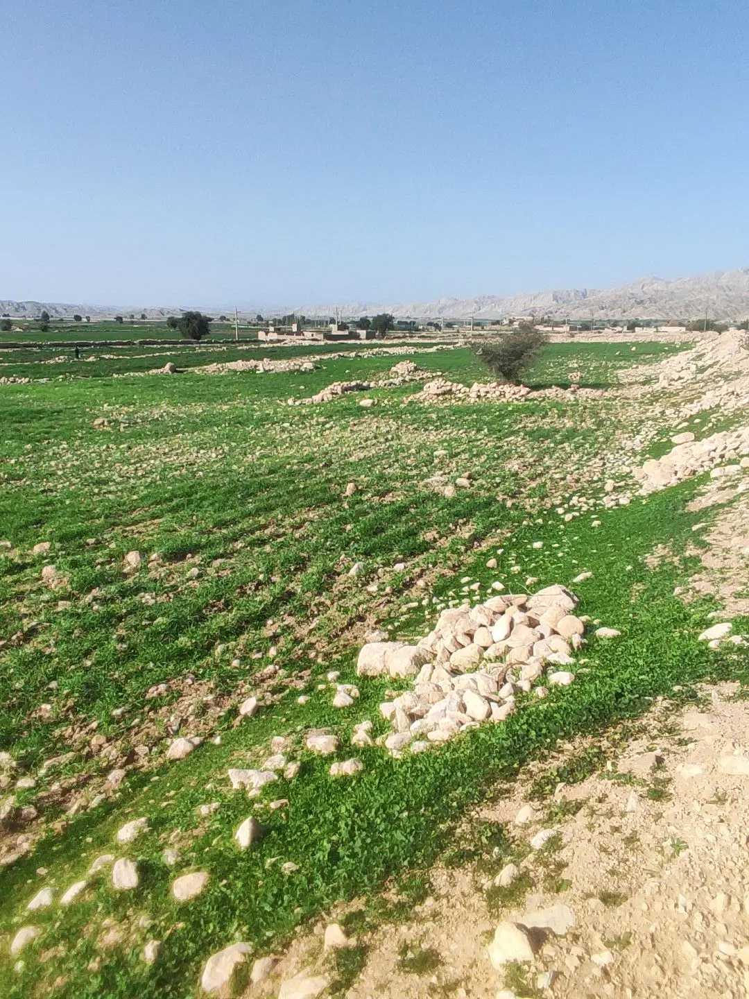 زمین مسکونی بنه اخوند