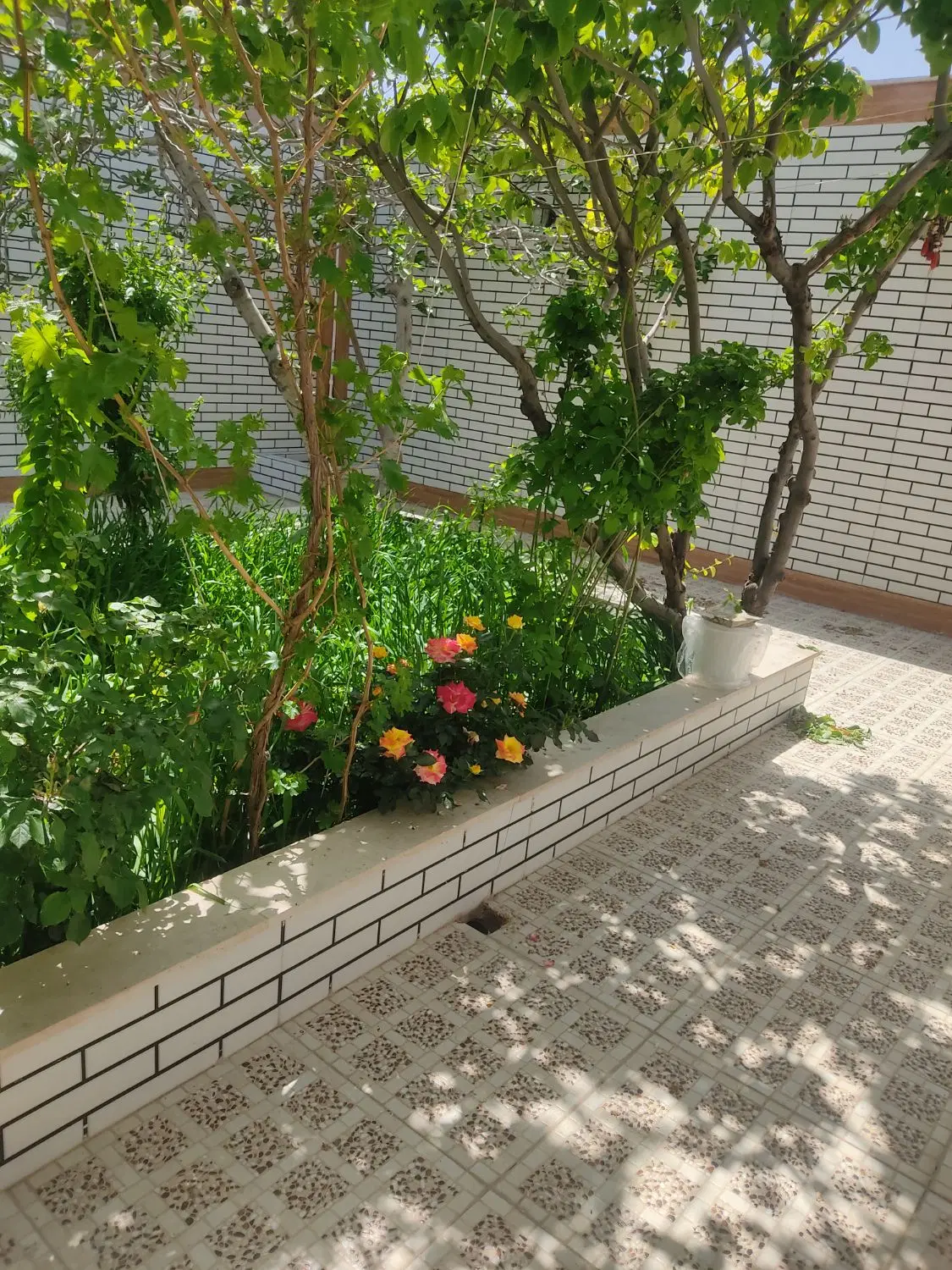 منزل ویلایی دو واحدی تک برگ سند برخیابان اصلی