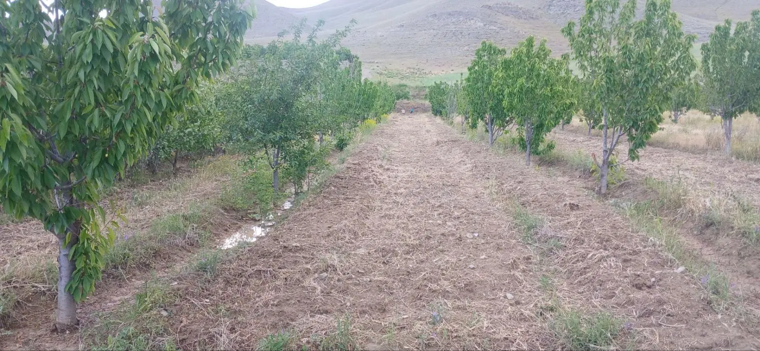 باغ به متراژ1500واقع در روستای قرخ یاشار