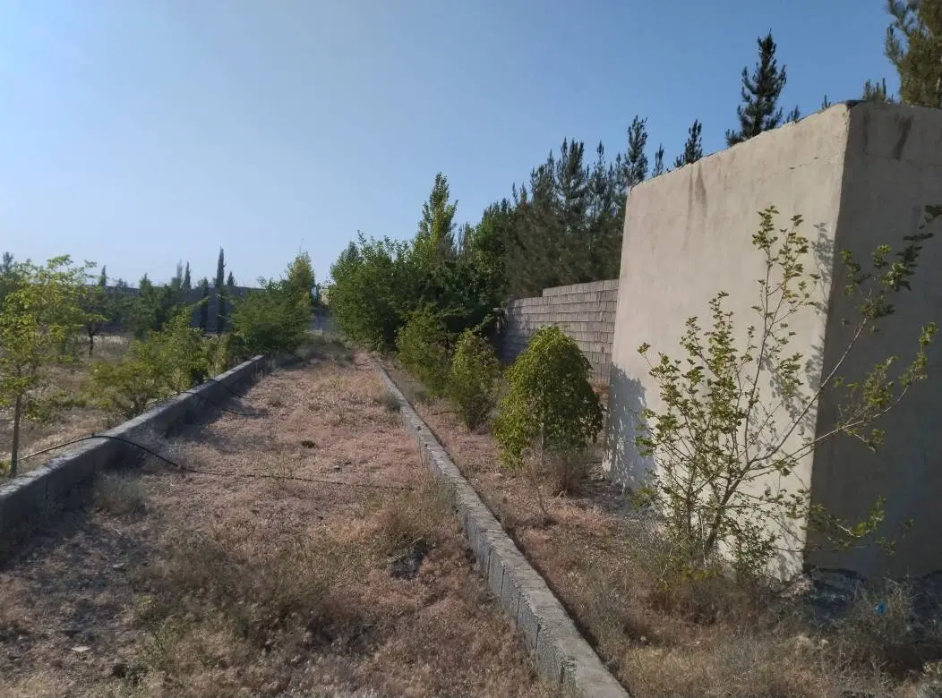 باغ کودیان جاده قلات خان زنیان