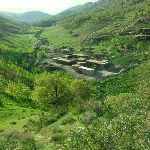 زمین روستایی_ساخت باغ وویلا