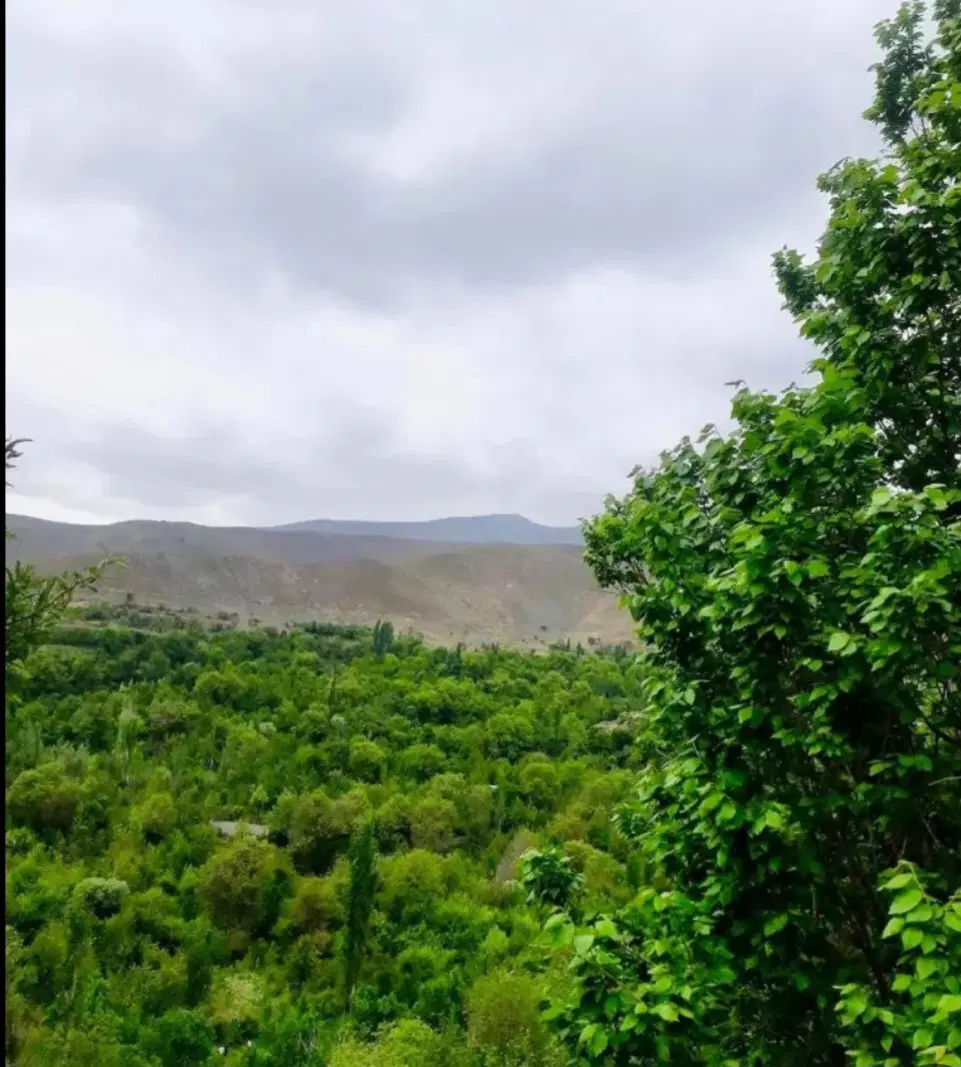 باغ میوه