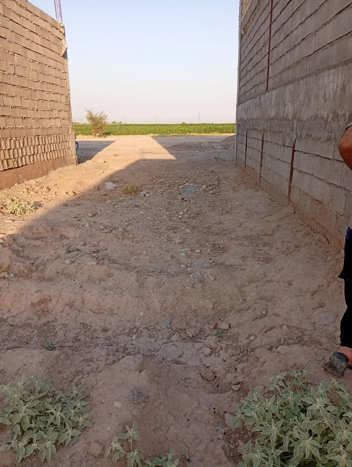 زمین53متری