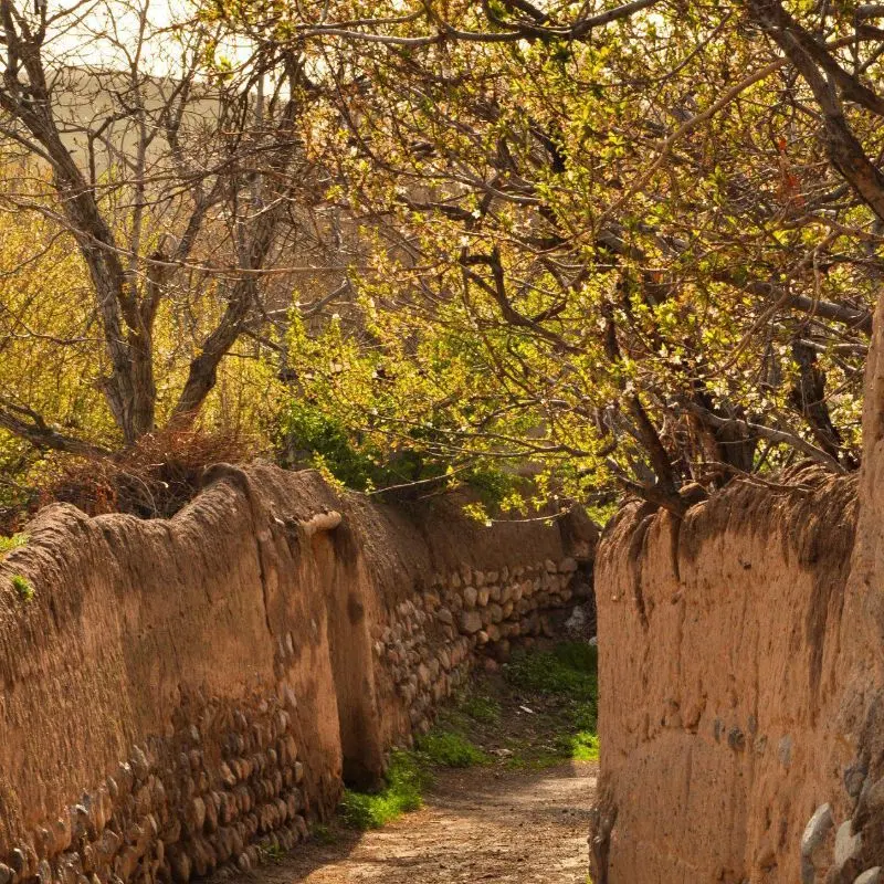 زمین مسکونی در باغمعروف