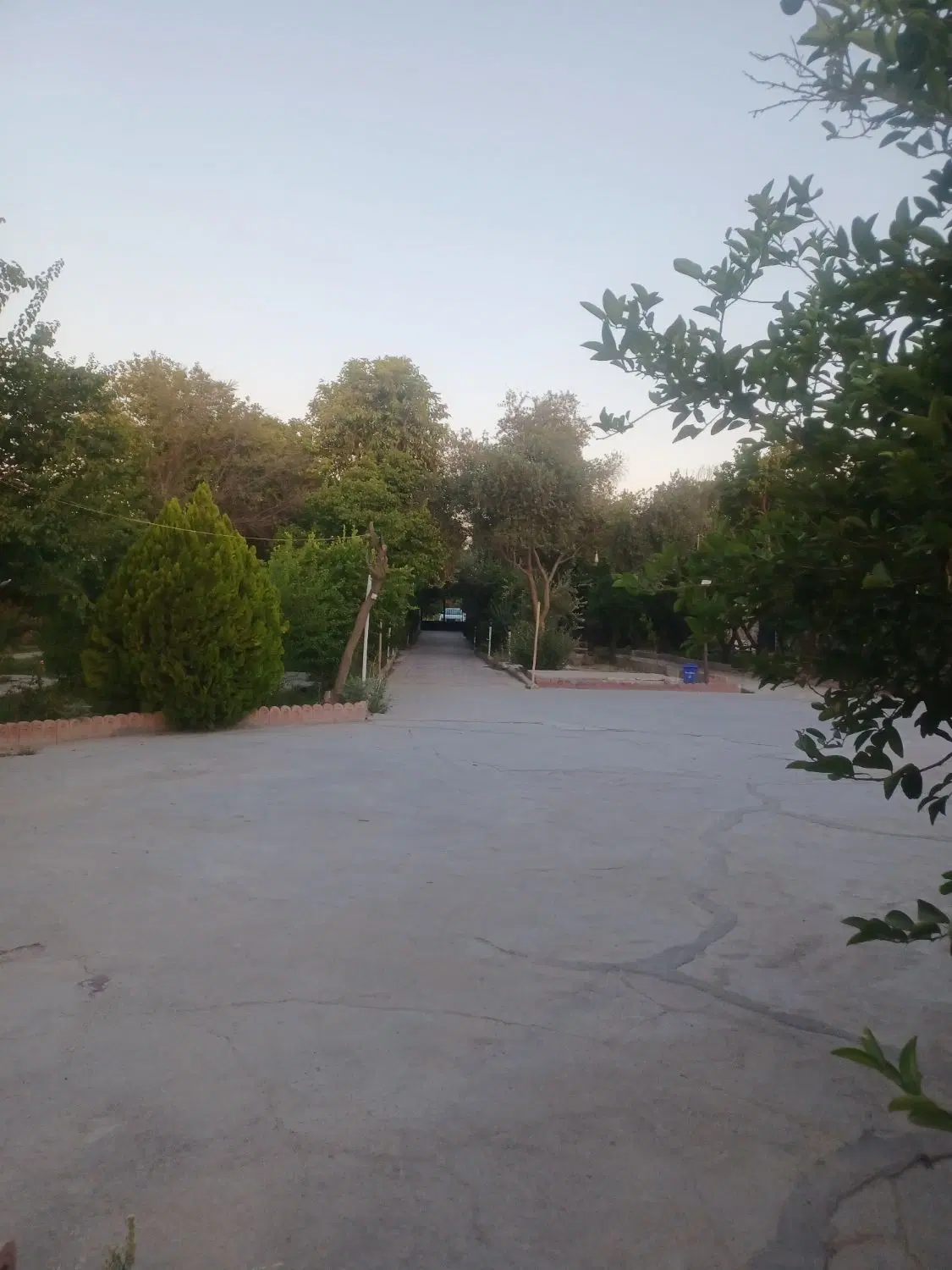 تالار باغ