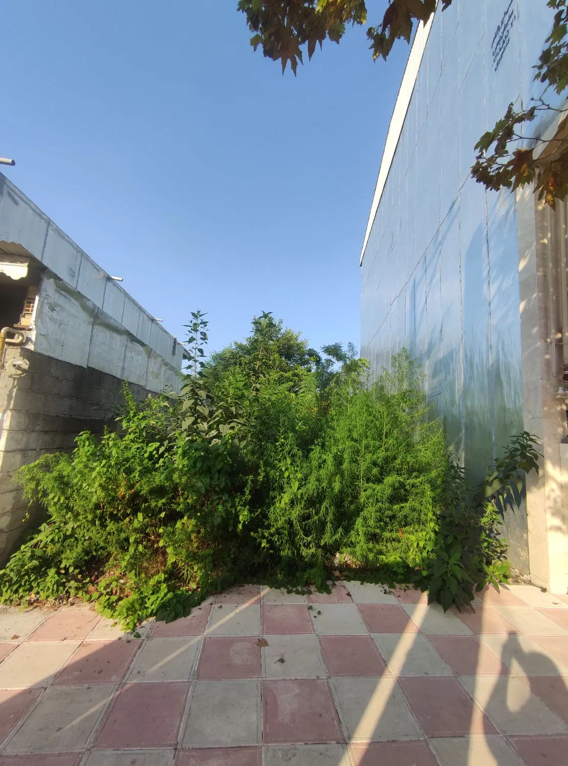 فروش زمین