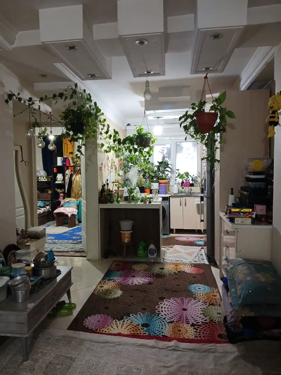 ۶۱ متر یک خواب هاشمی
