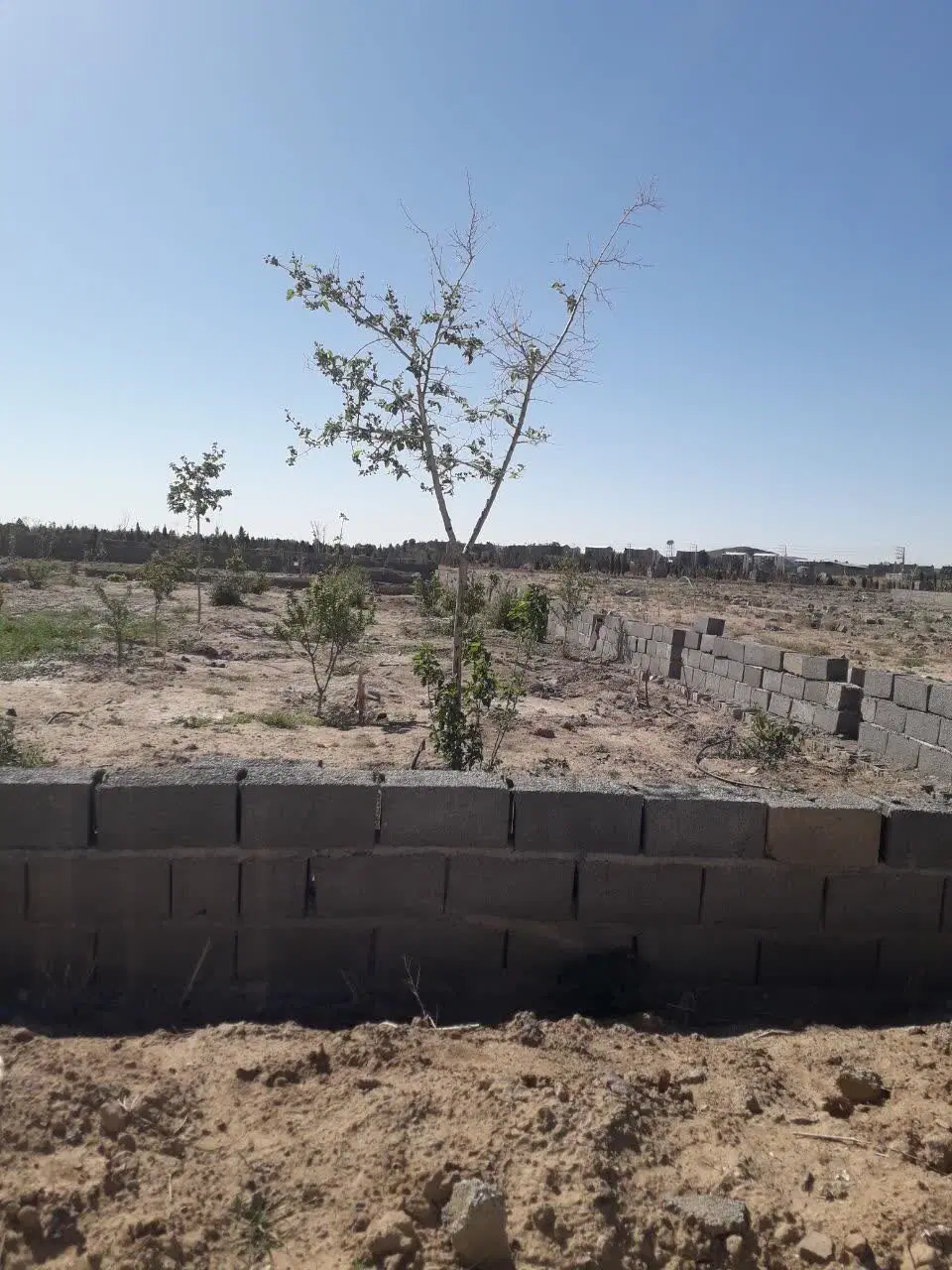 یک قطعه زمین ۴۴۳متری،شهریار