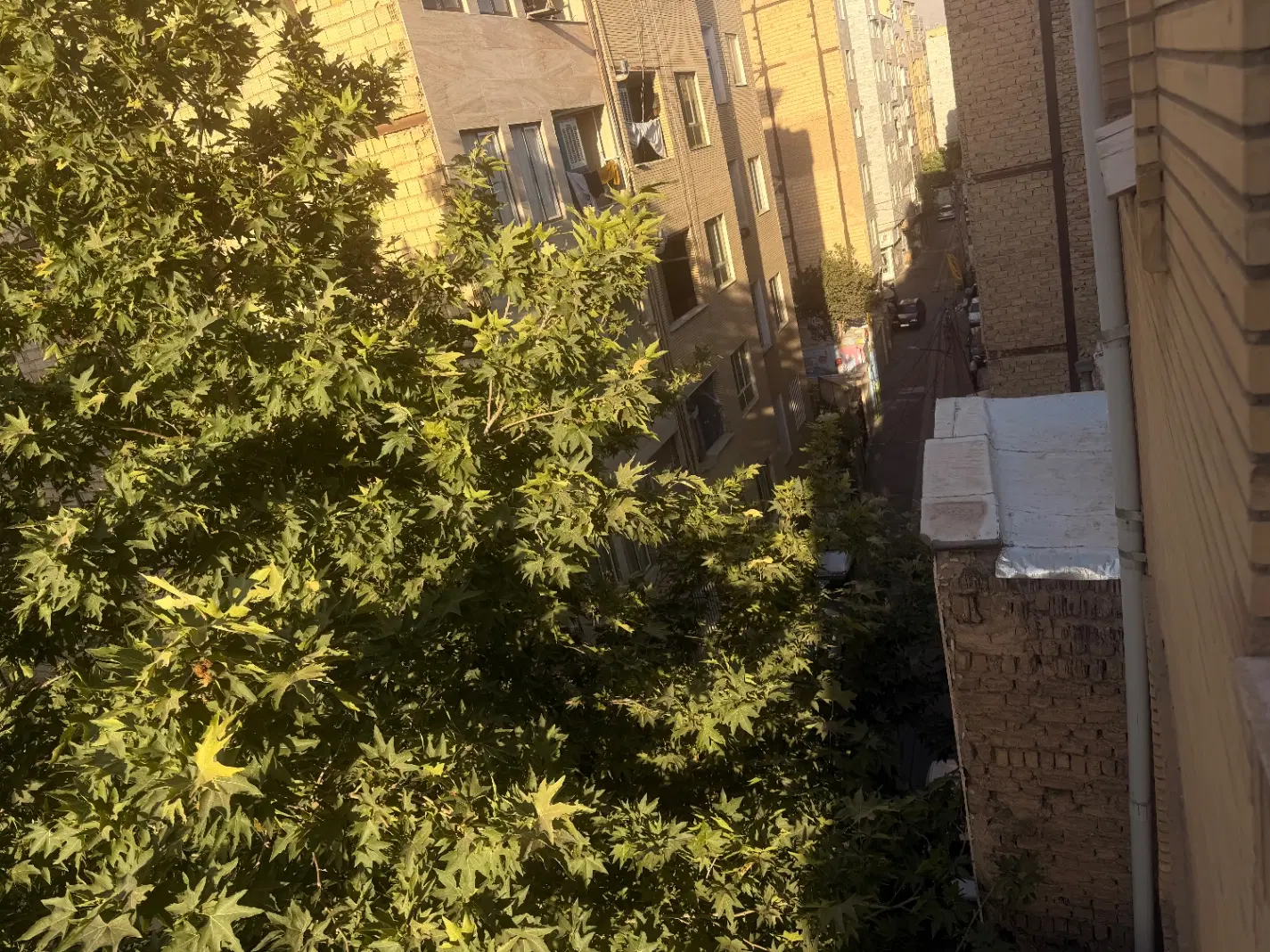 طبقه ۴رو به نما