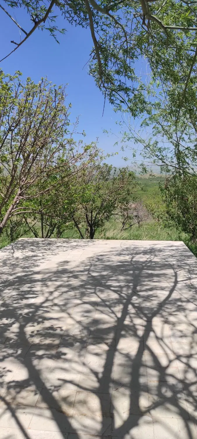 باغ ونایی
