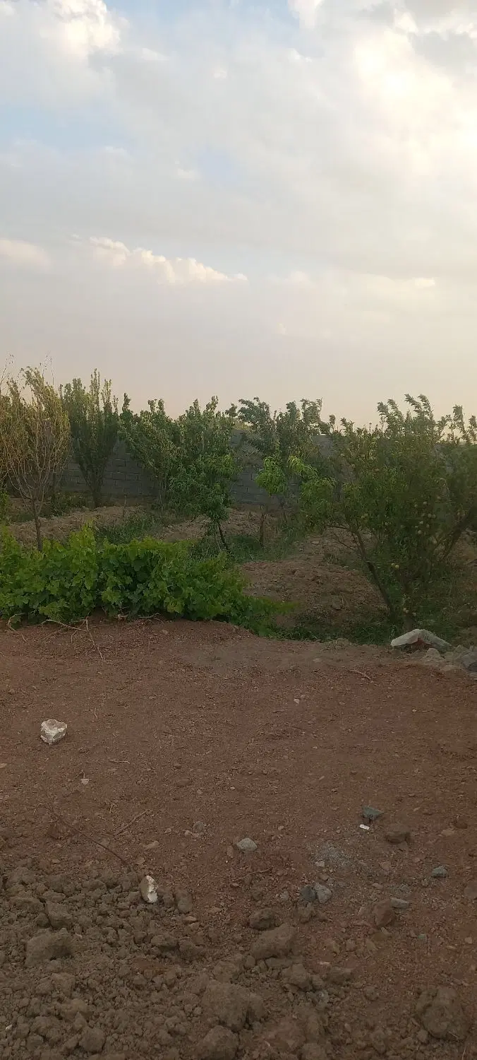 باغچه در پیشک۱