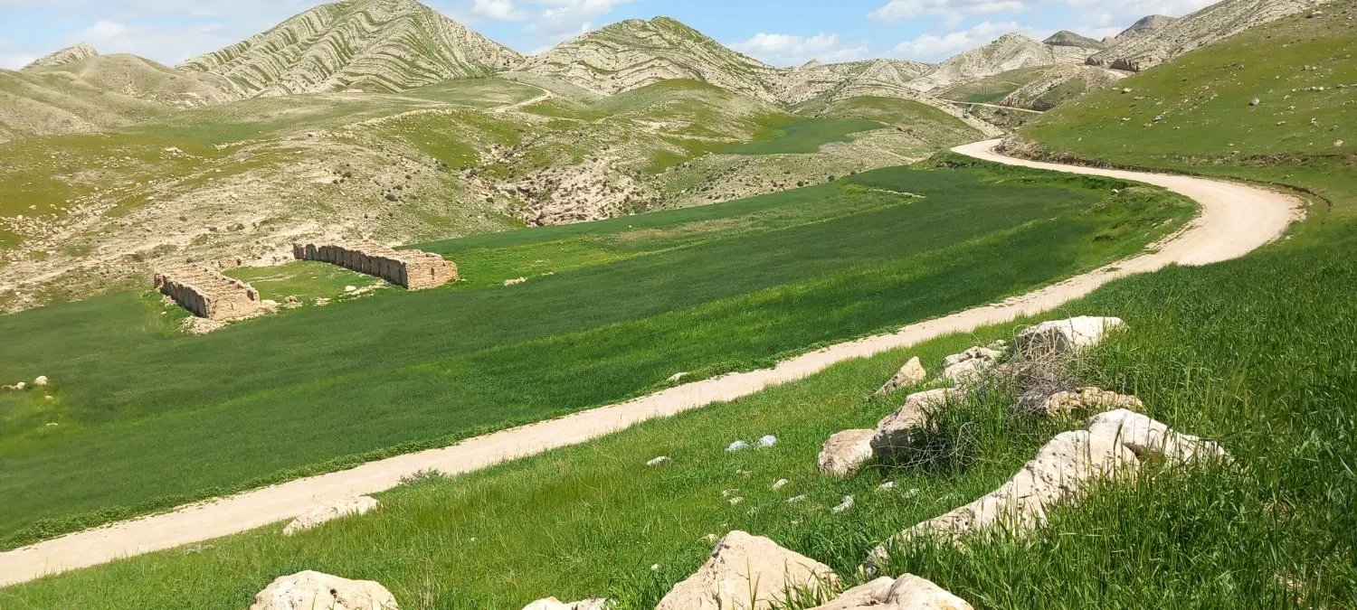 زمین روستایی