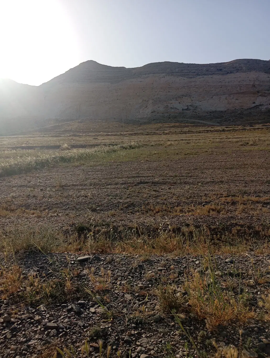 500متر زمین کشاوزی آستانه روستای خیج
