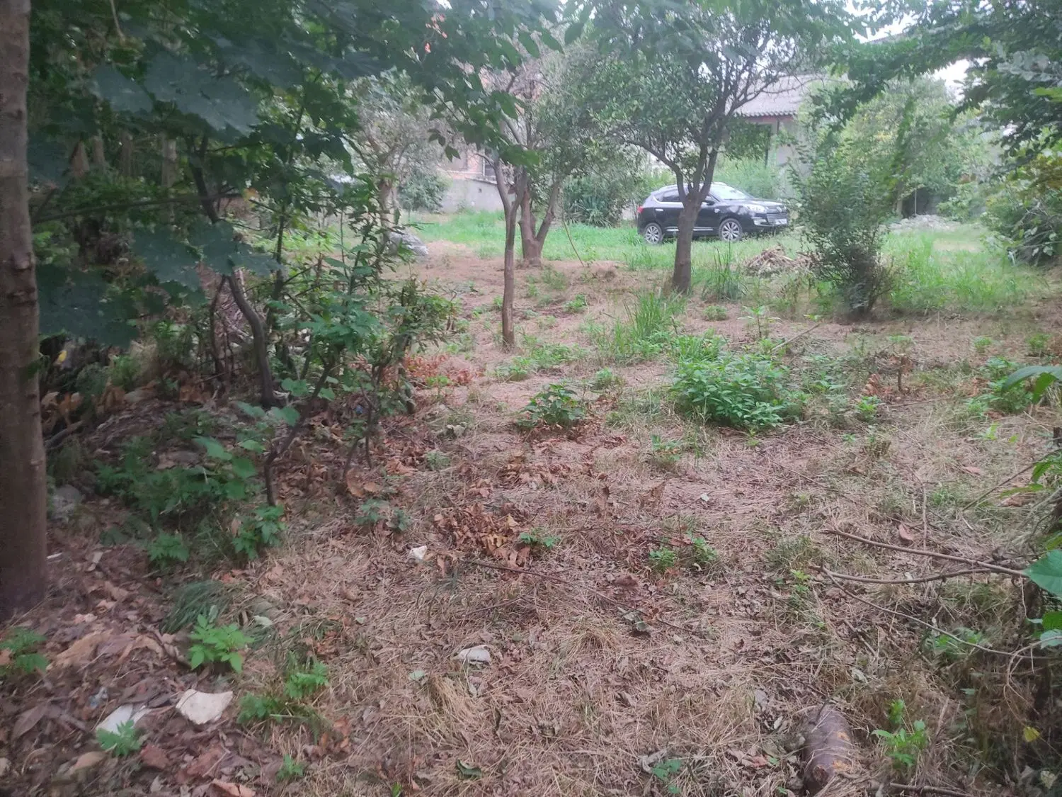 زمین مسکونی