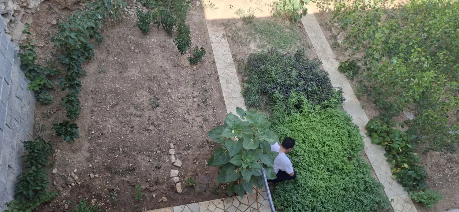 اجاره واحد همکف کلا دو طبقه خیابان ۱۴ متری