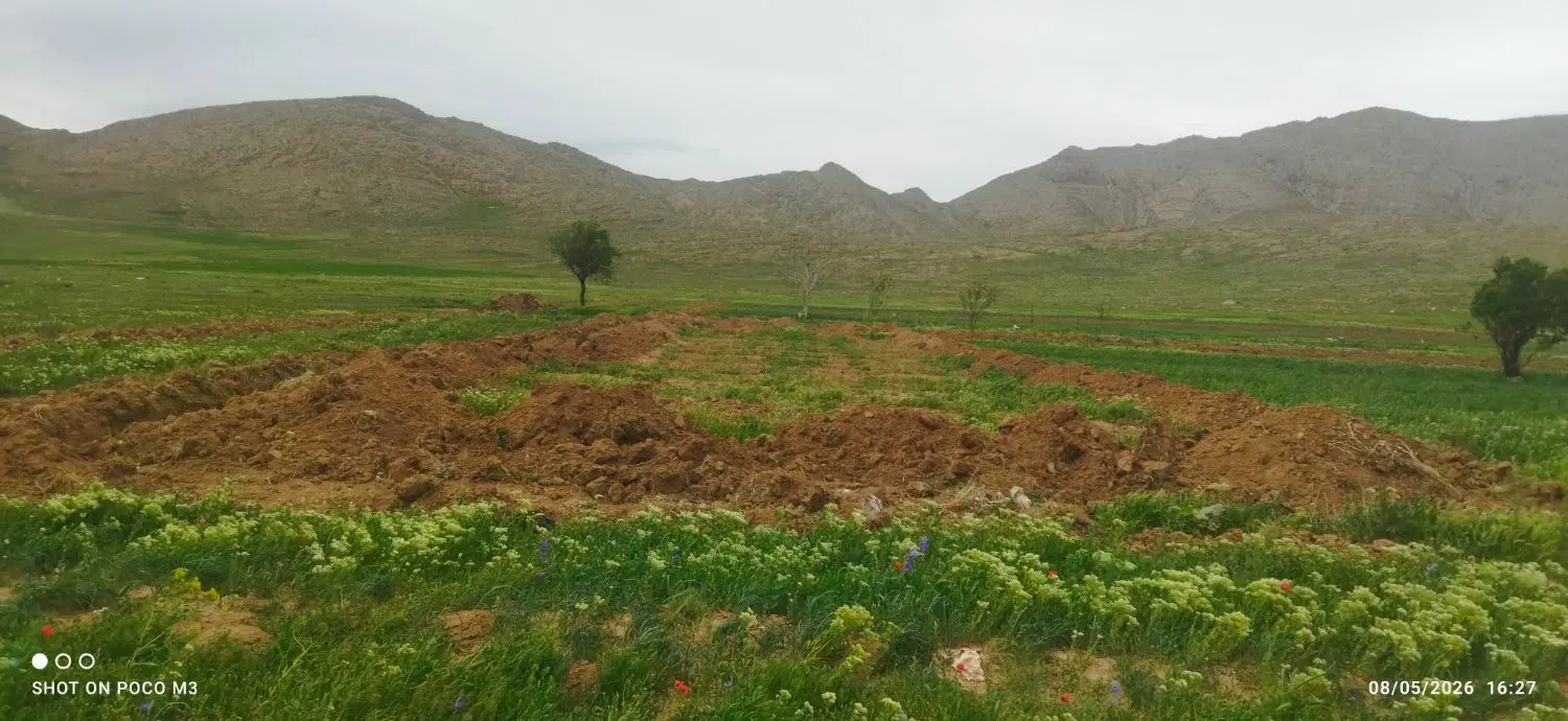 زمین داخل  طرح هادی در رباطمیل