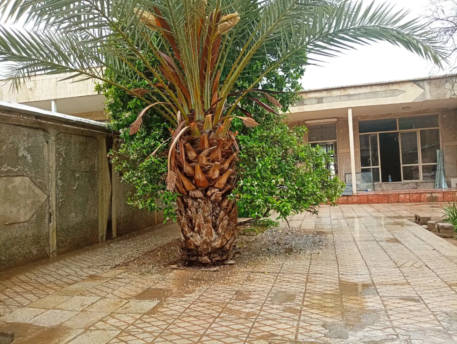 ویلایی مهدیه