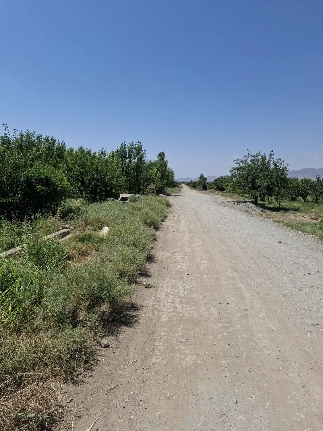 زمین پیشک 3 سه 500 متری