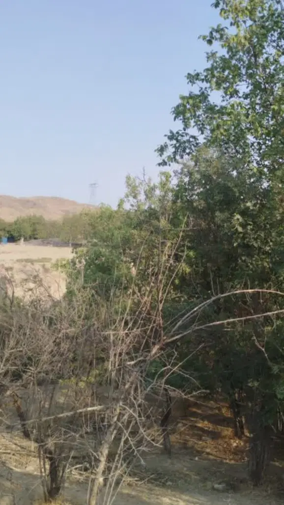 ملک (باغ) واقع در روستای سناوند