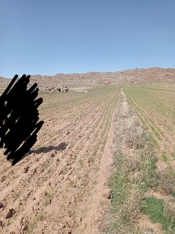 زمین عبدل آباد کوهپایه