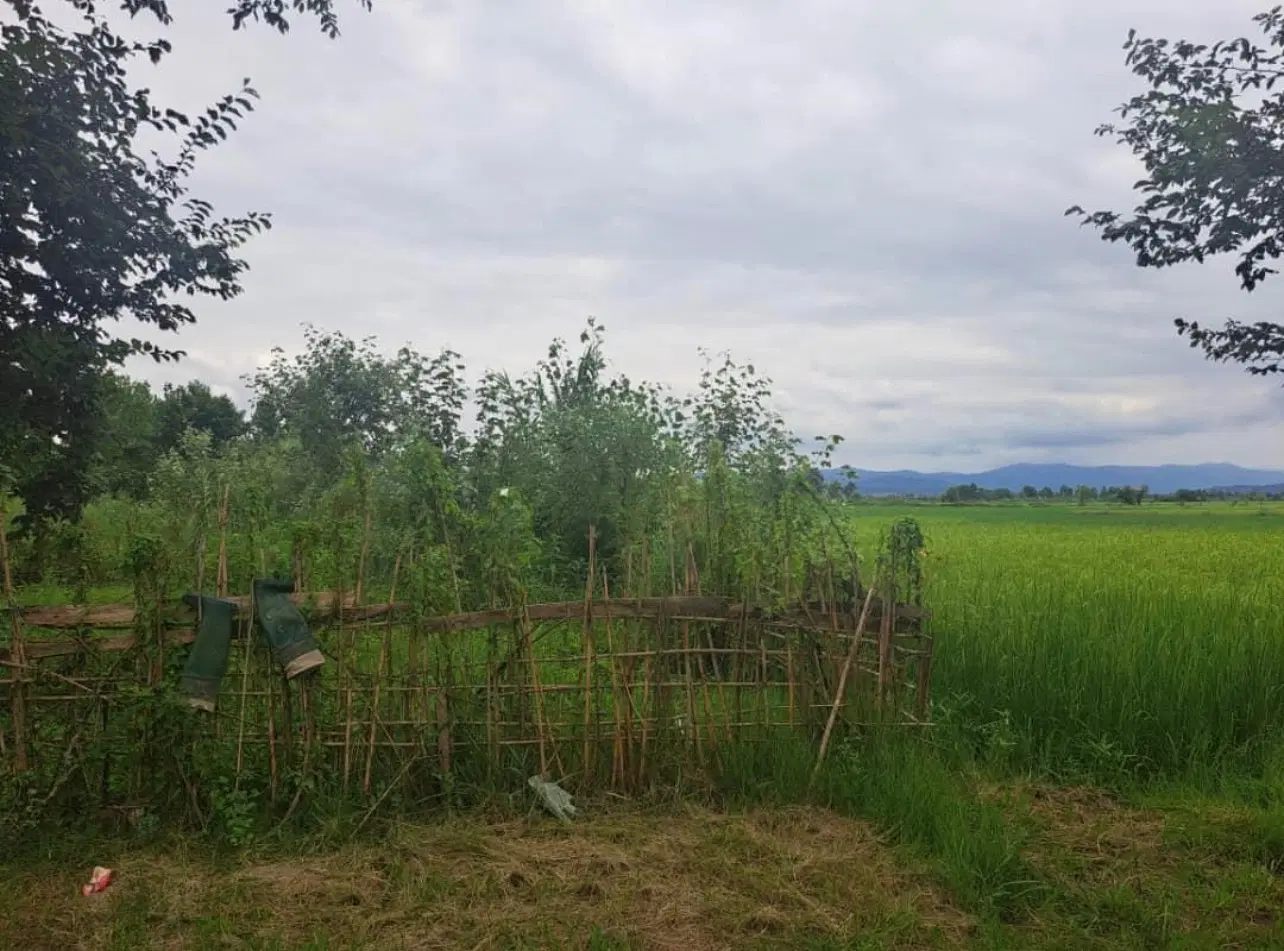 زمین ۱۸۰ متری باغی مناسب کلبه سوییسی