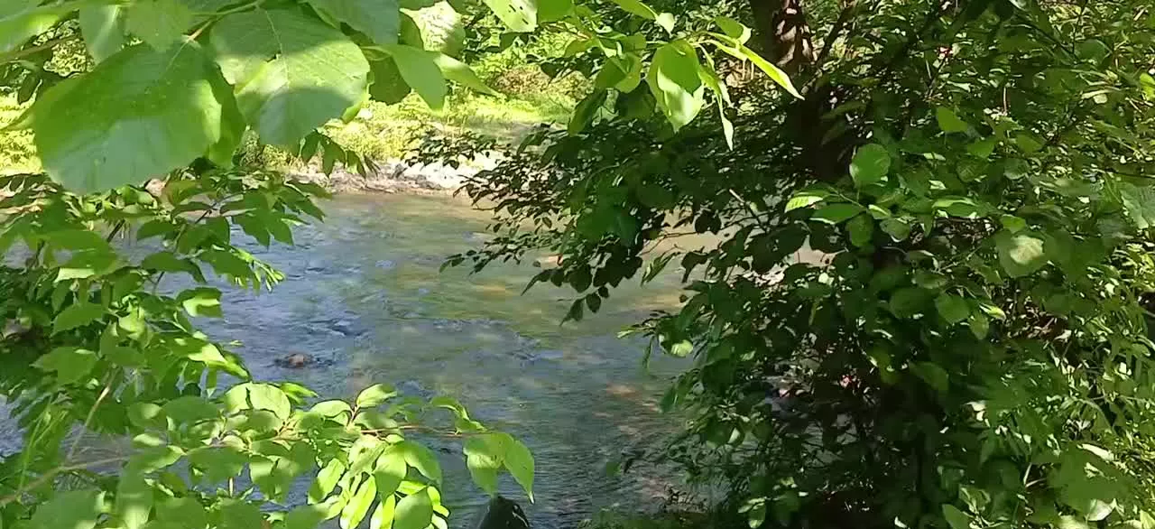 زمین ۲۵۰ متری کوهپایه