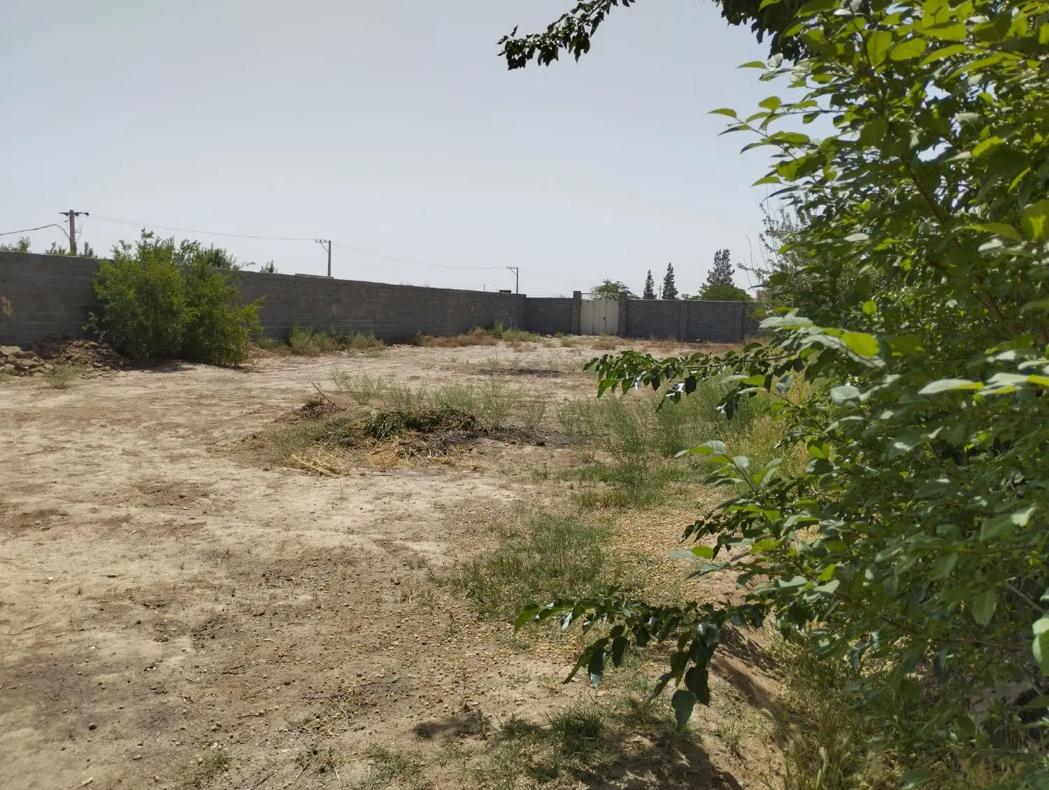 فروش زمین روستایی فوری