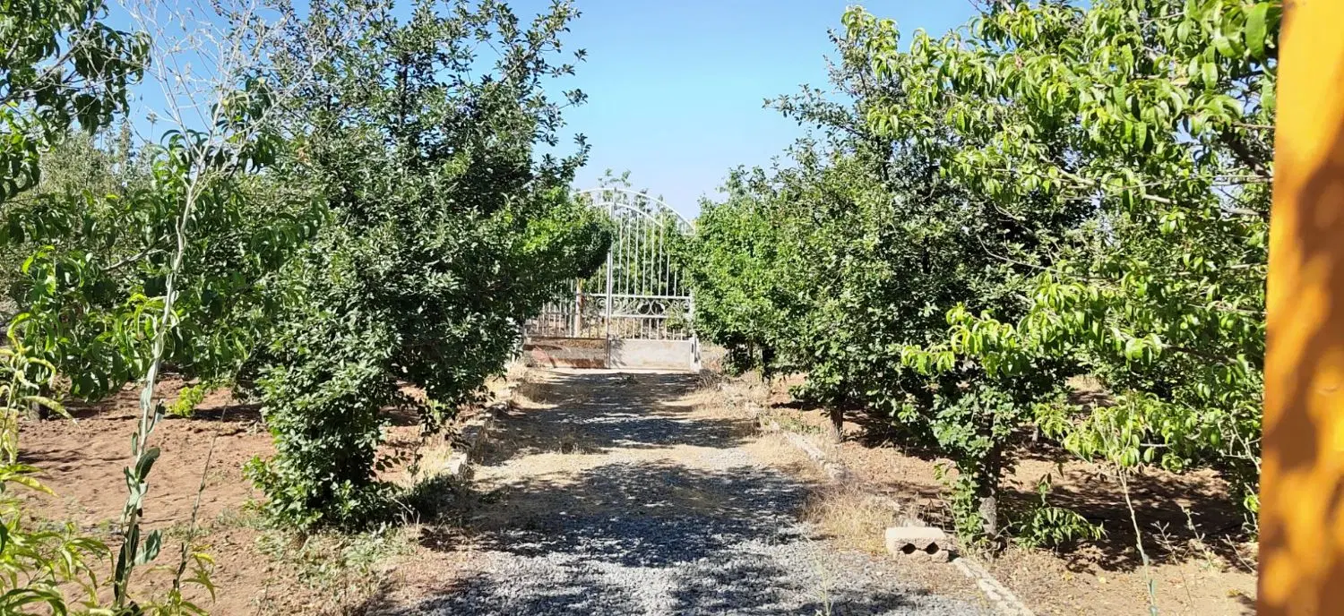 باغ ۱۰۰۰متری مارکده